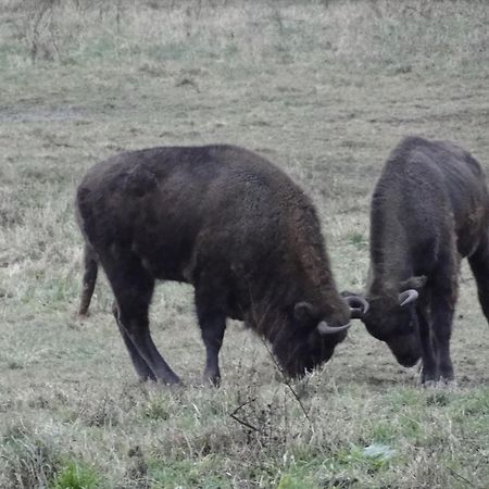 Agroturystyka Zywe Kruklanki Eksteriør bilde