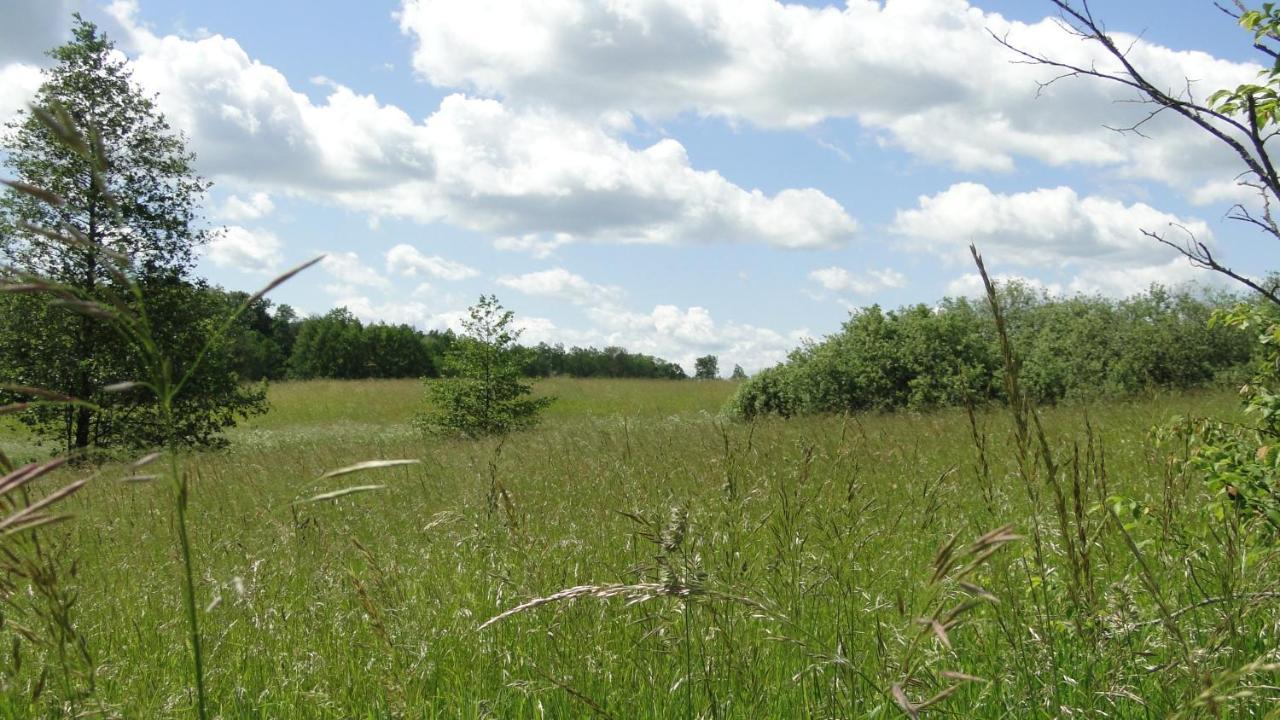 Agroturystyka Zywe Kruklanki Eksteriør bilde