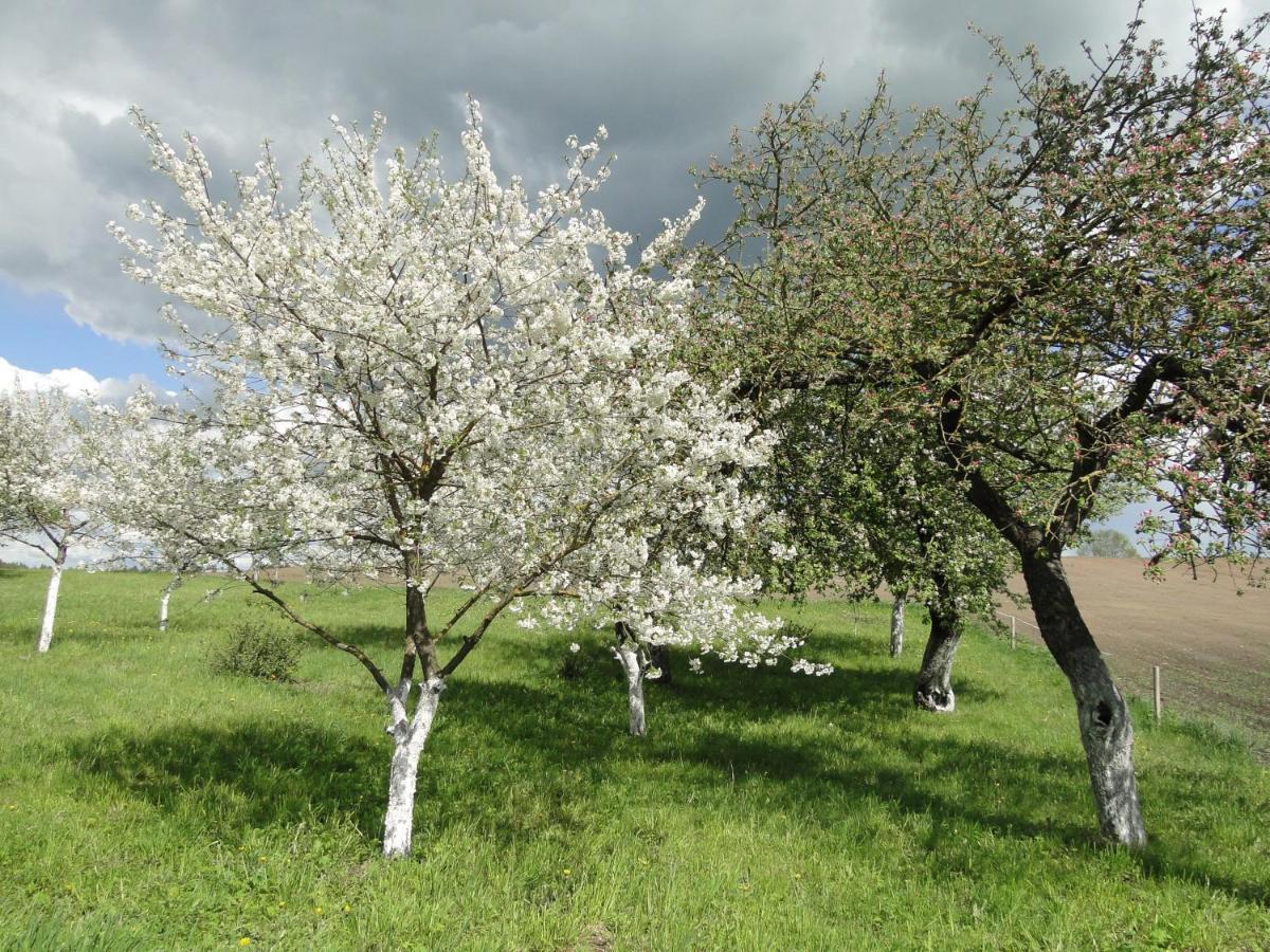 Agroturystyka Zywe Kruklanki Eksteriør bilde
