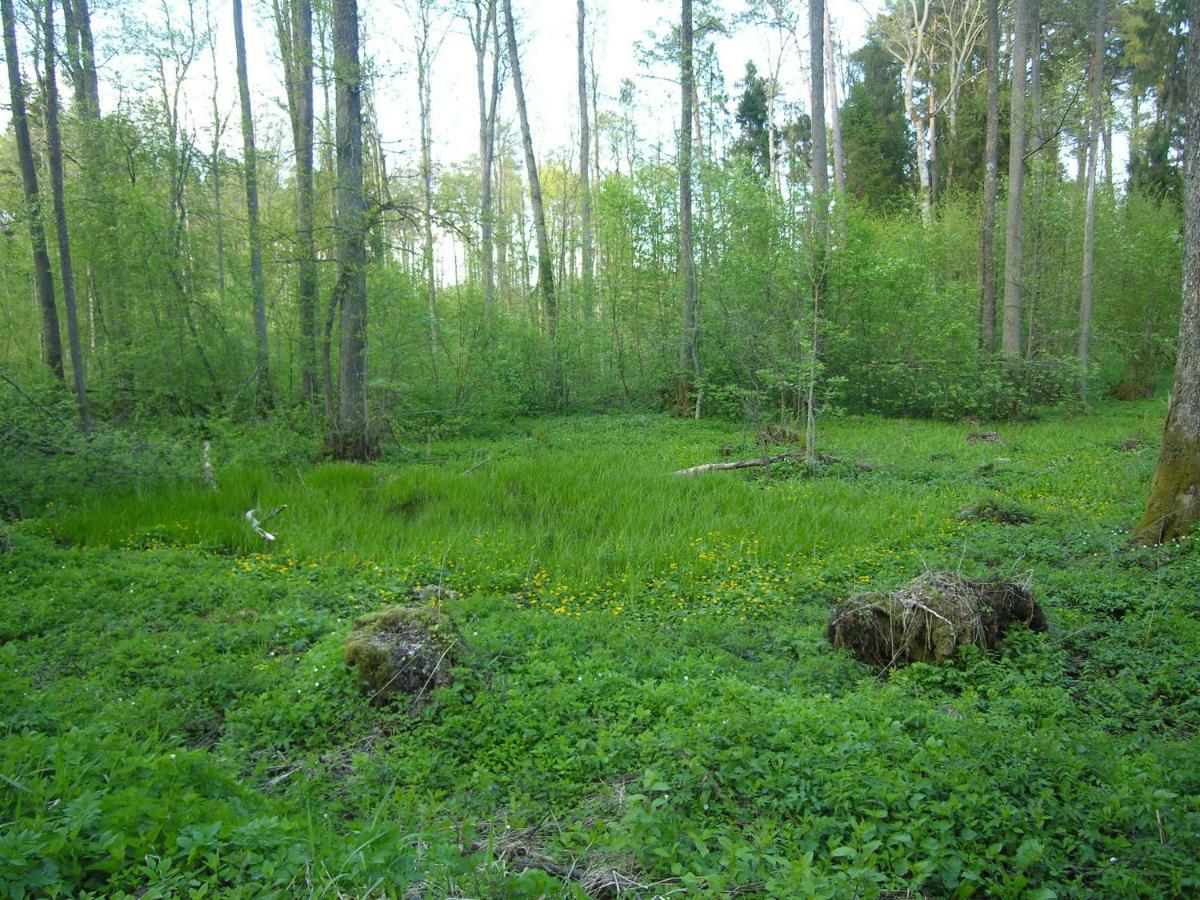 Agroturystyka Zywe Kruklanki Eksteriør bilde
