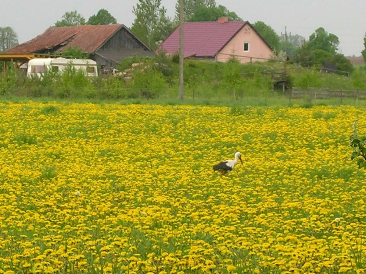 Agroturystyka Zywe Kruklanki Eksteriør bilde